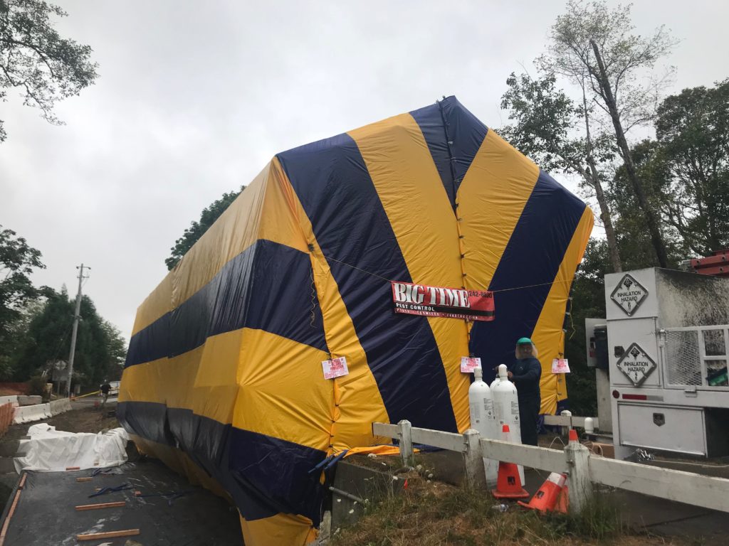 A Big Time Covered Bridge Fumigation Vikane Gas Fumigant